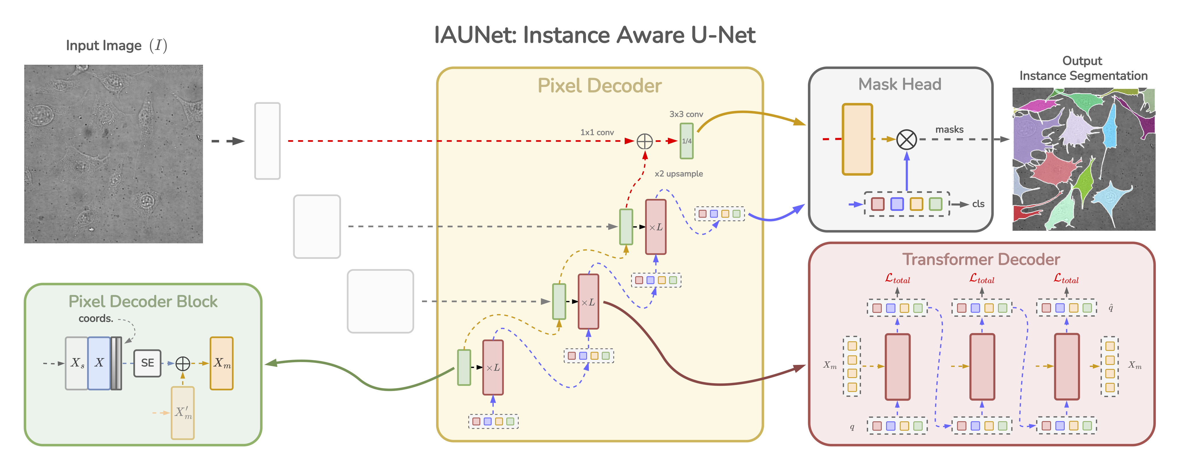 IAUNet architecture